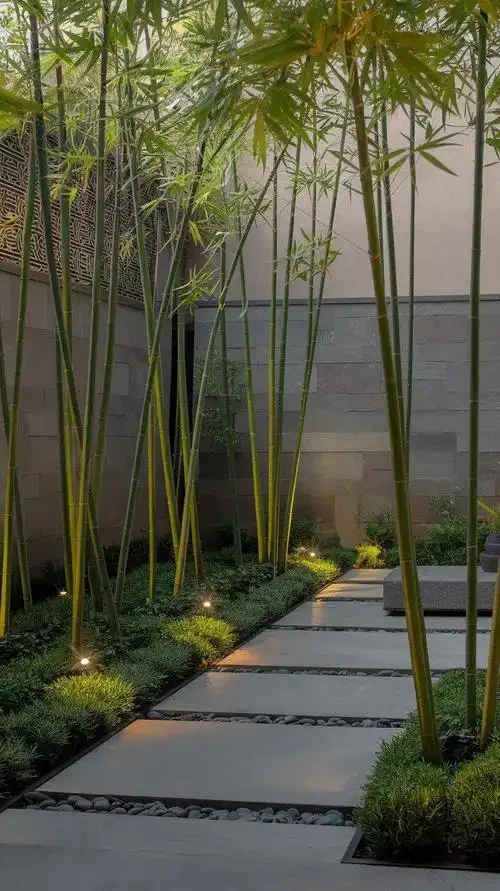 5000 vuotta bambukulttuuria: Elävä aikajana globaaleille ostajille